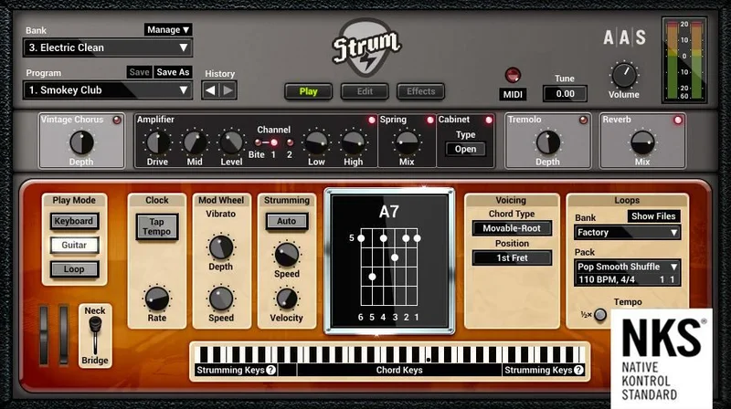 Applied Acoustics Systems Strum GS-2