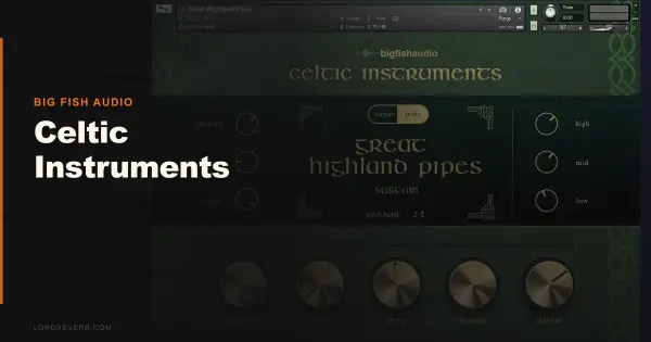 Celtic Instruments 2026: Best Picks for Authentic Sound