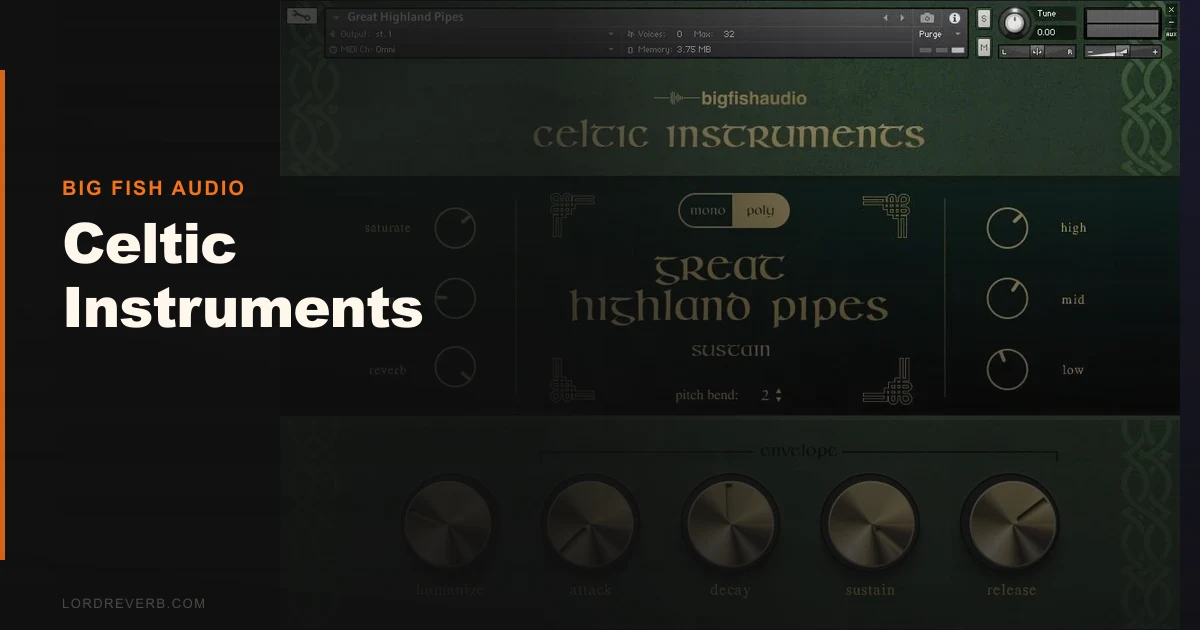 Celtic Instruments 2026: Best Picks for Authentic Sound