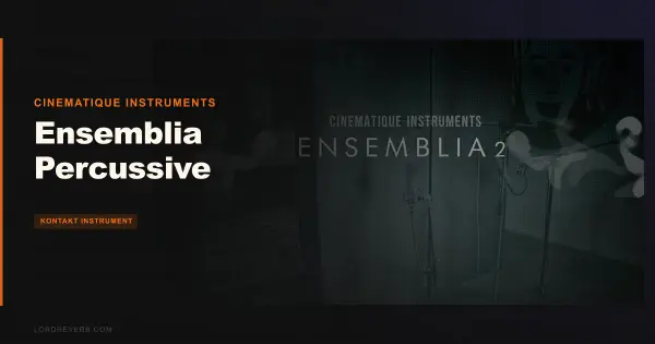 Ensemblia Percussive Review: Worth $235 vs the Field?