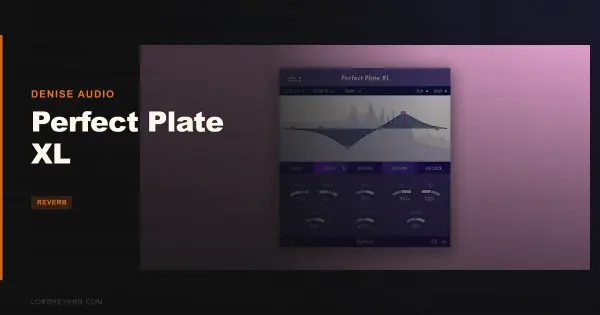 Perfect Plate XL Review: 3 Things It Gets Right in 2026