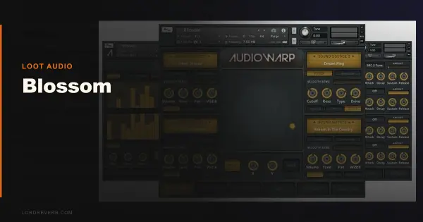 Blossom Review 2026: Is Loot Audio's $56 Pick Worth It?