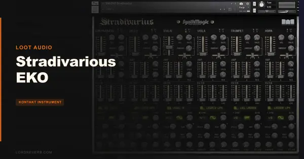 Stradivarious EKO Review: Worth $35?