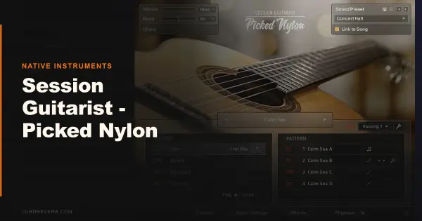 Can Session Guitarist Picked Nylon Replace a Real Guitar?