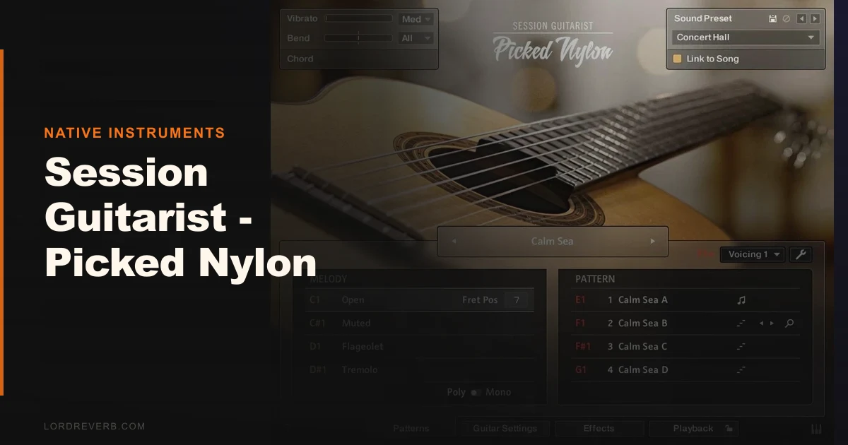 Can Session Guitarist Picked Nylon Replace a Real Guitar?