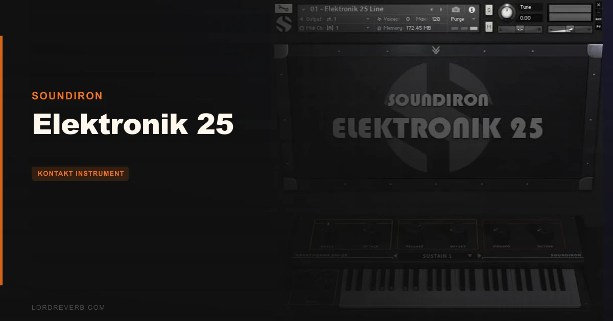 Elektronik 25 Review: Rare Soviet Textures Worth $29?