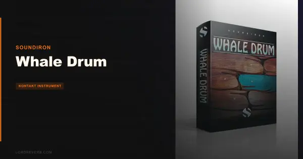Whale Drum Review: Still Beats 5 Rival Percussion Libs 2026