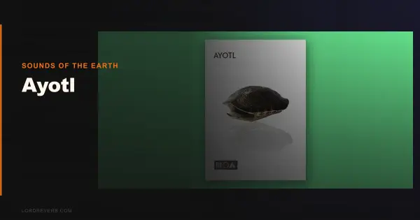 Ayotl Review: Beats Pricier World Perc in 2026