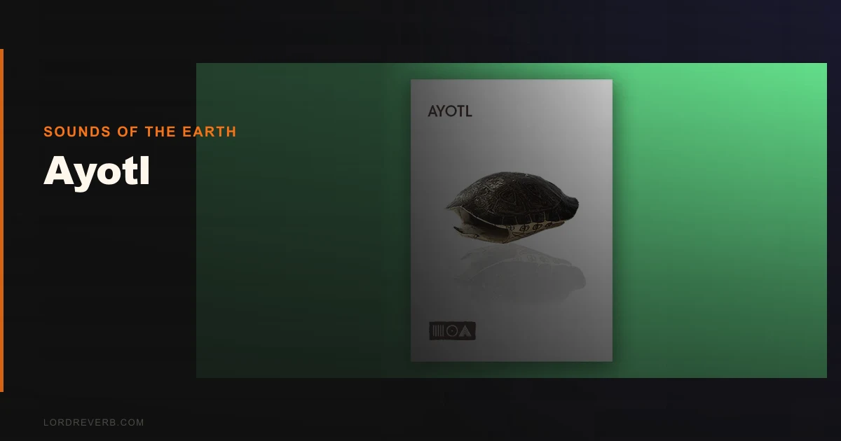 Ayotl Review: Beats Pricier World Perc in 2026