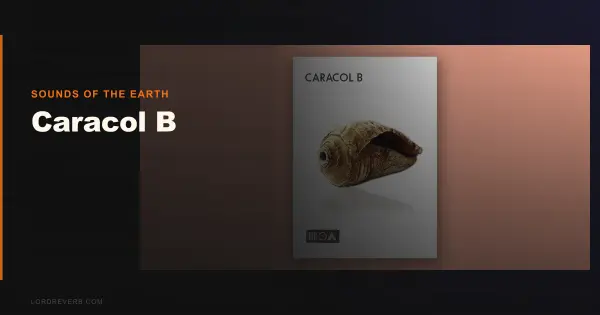 Caracol B Review: A Unique Kontakt Library for 2026